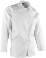 Bluza BRIXTON WHITE rozpinana damska HACCP