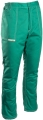 snow_sp-5.jpg